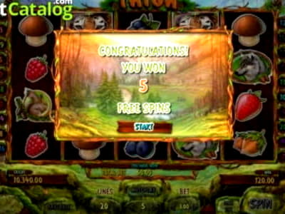 EUR 335 FREE Casino Chip at Wild Slots Casino