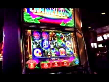275 Free casino spins at BGO Casino