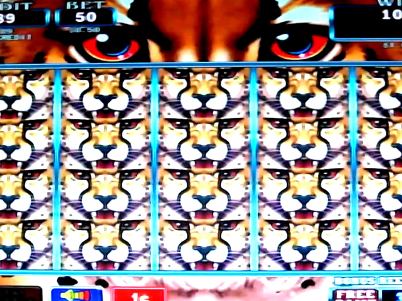 $200 Casino Tournament at Casino Luck