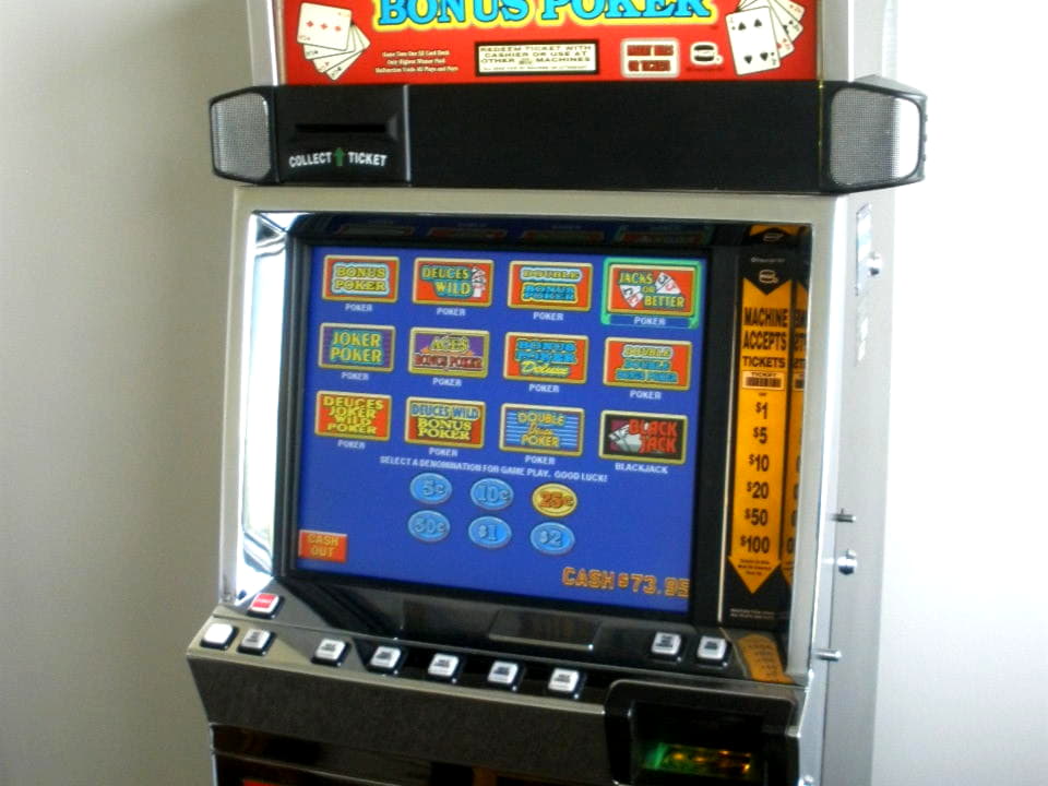 255 FREE SPINS at Next Casino