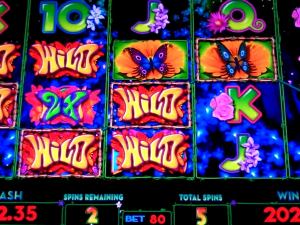 495% Match bonus casino at Nordi Casino