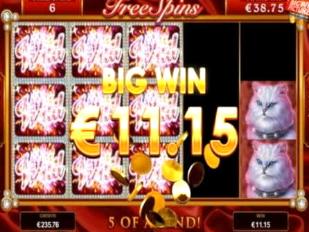 €745 Daily freeroll slot tournament at Next Casino