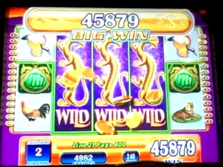 EUR 88 Online Casino Tournament at Dunder Casino