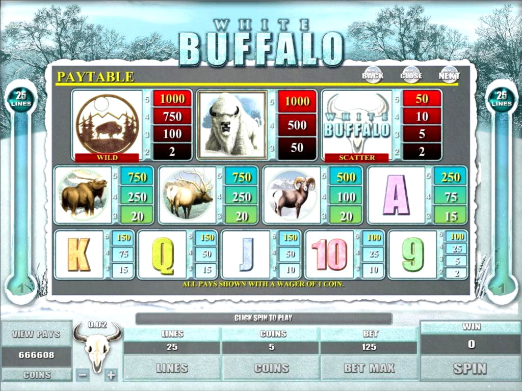 530% Welcome Bonus at Wild Slots Casino