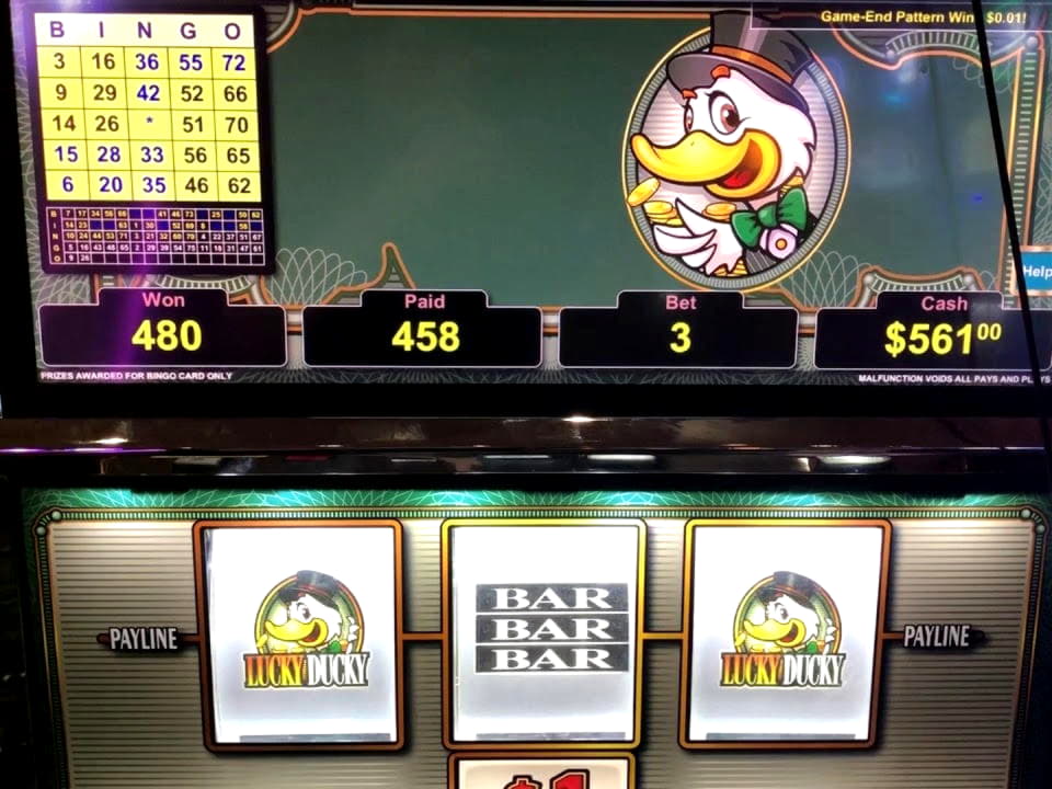 100 free spins no deposit casino at BGO Casino