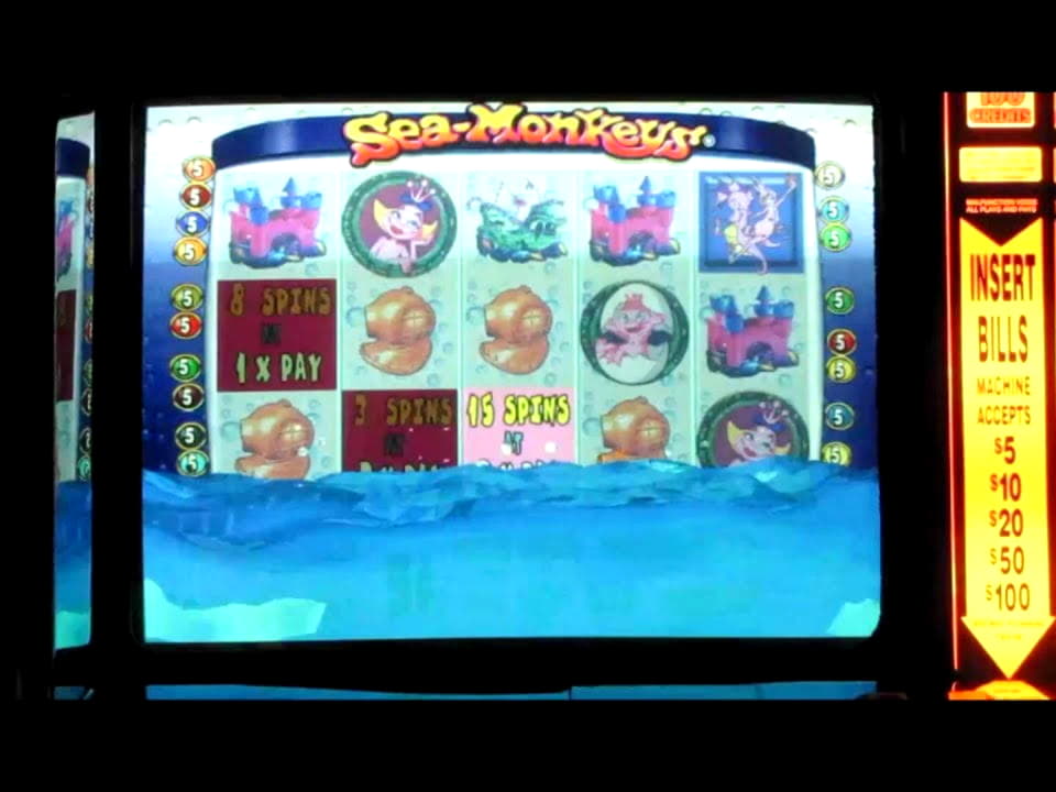 $3775 NO DEPOSIT BONUS at Next Casino