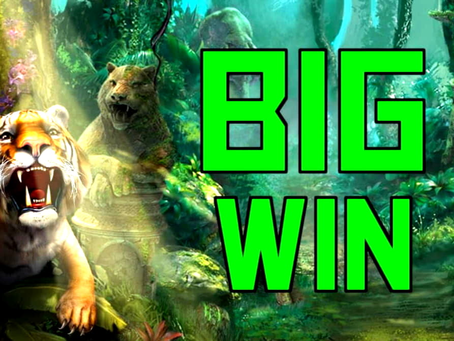€3065 No Deposit Casino Bonus at Leo Dubai Casino