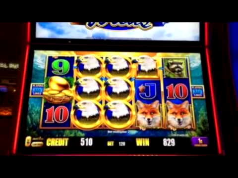 EUR 380 Online Casino Tournament at Nordi Casino