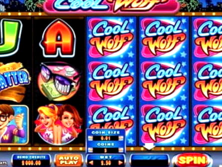 805% Match at a casino at Frank and Fred Casino