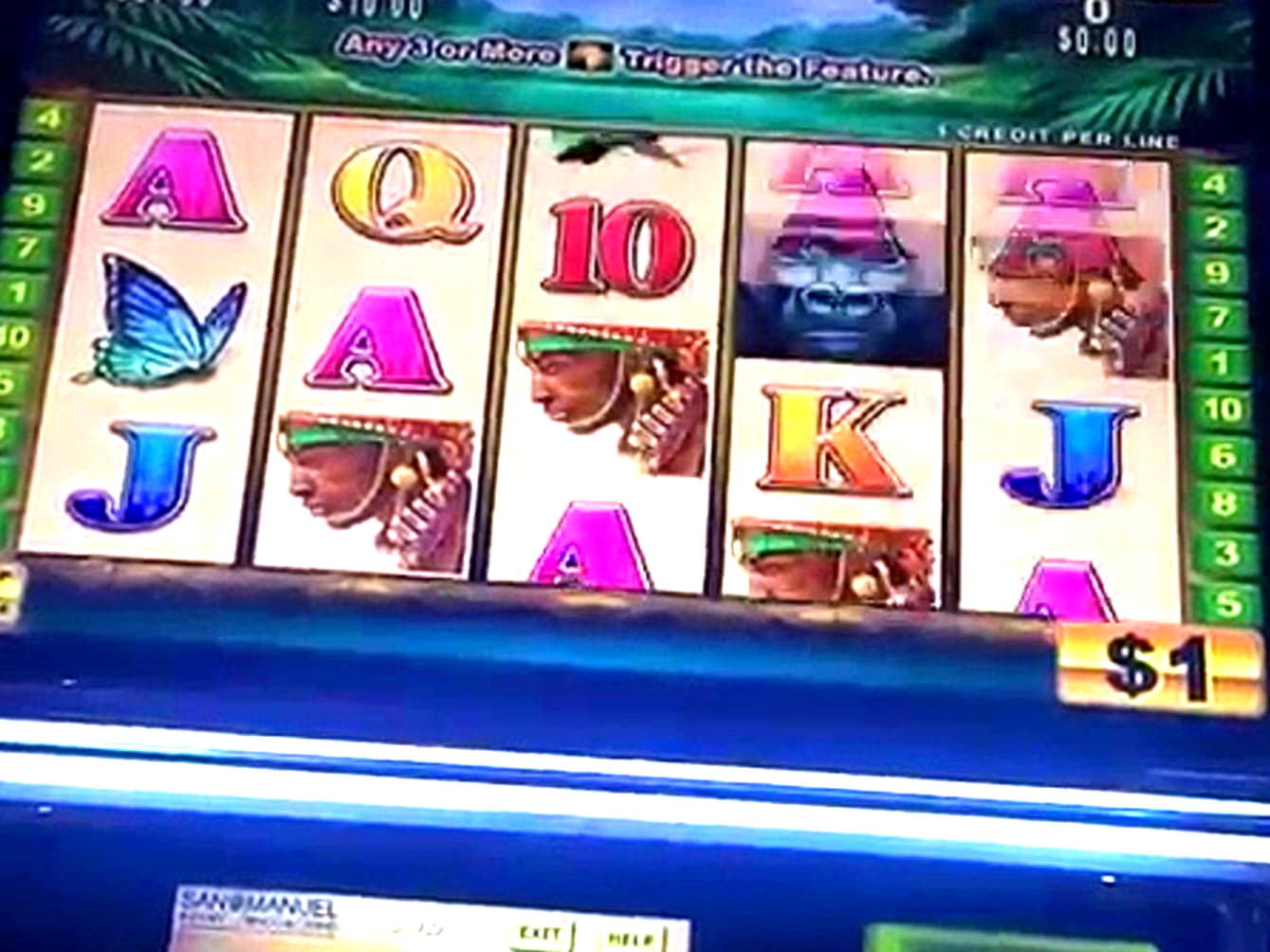 295% First deposit bonus at Frank and Fred Casino