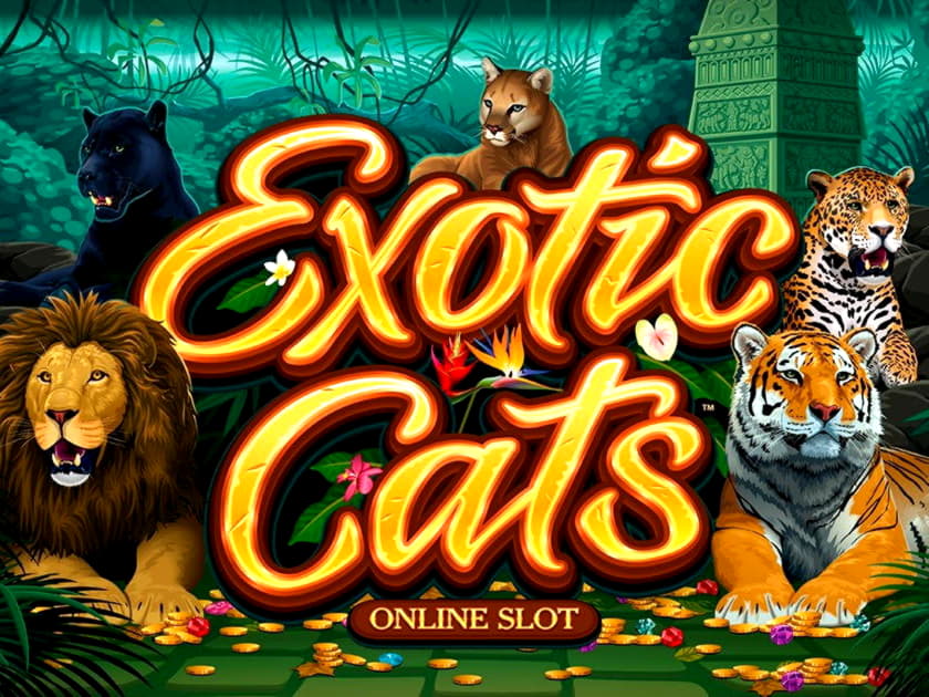 EUR 3550 No Deposit Casino Bonus at Casino-X