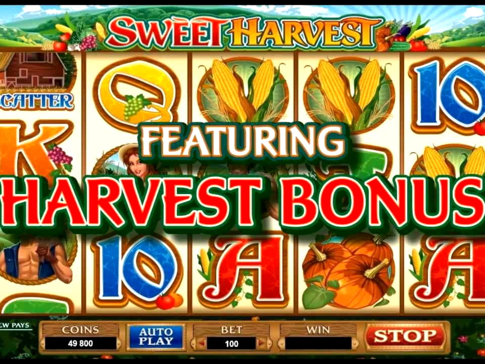 255 free spins casino at Omni Slots Casino