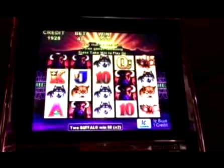 ﻿$575 Free Casino Chip at bWin Casino