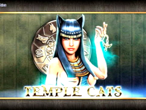 €2400 No Deposit at Rizk Casino