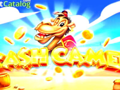 70 FREE SPINS at Holland Online Casino
