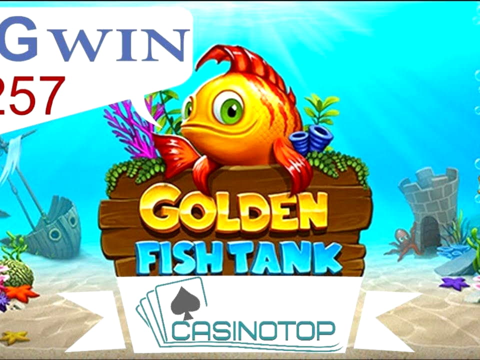 110% No Rules Bonus! at BGO Casino