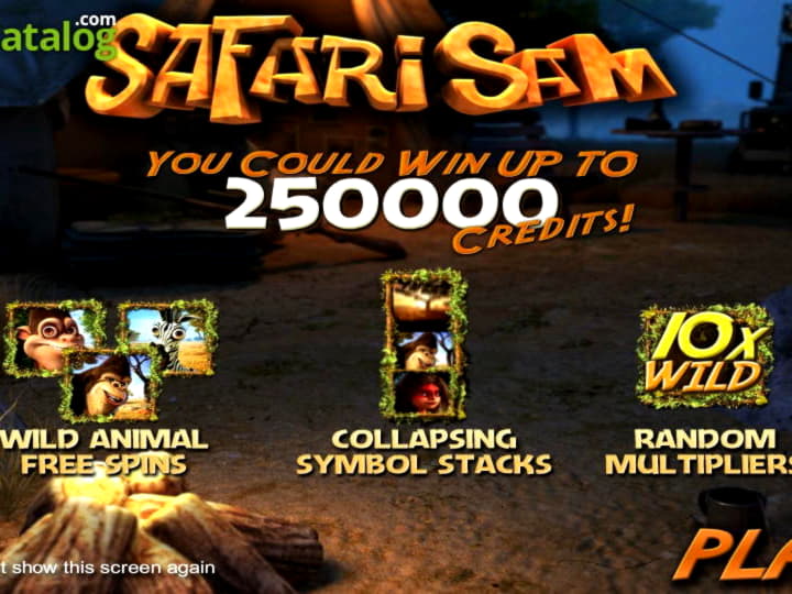 45 Free Spins no deposit at Wild Slots Casino