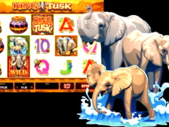 875% Match bonus at Casino-X