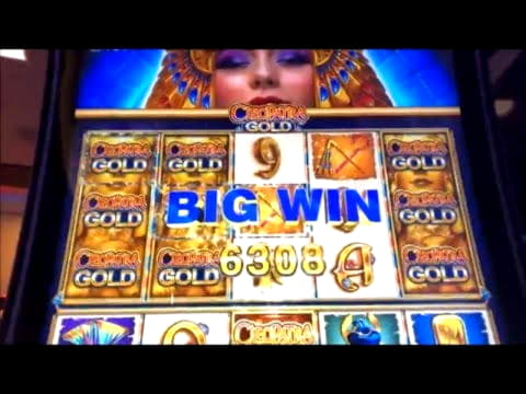 EUR 1775 No deposit bonus code at Leo Dubai Casino