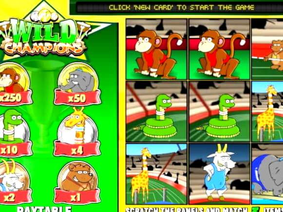 685% Match at a Casino at Kaboo Casino