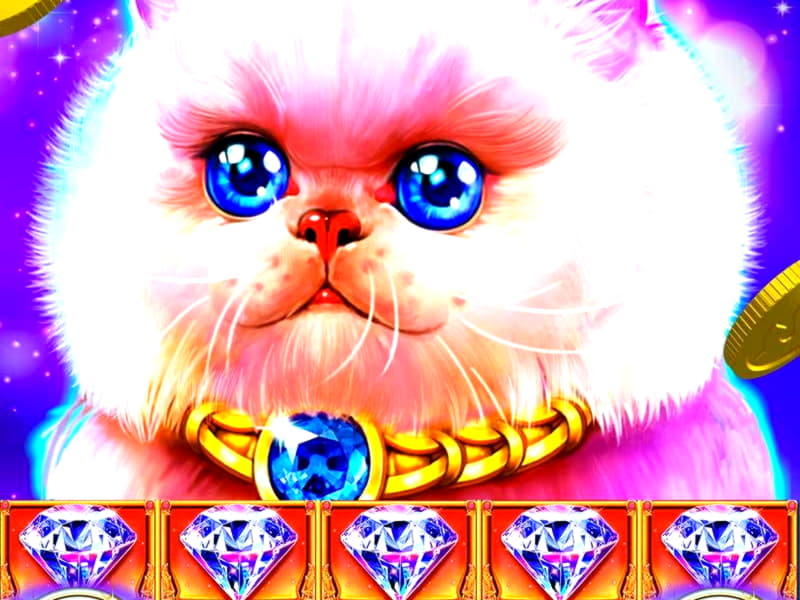 £870 Casino tournaments freeroll at Sloty Casino