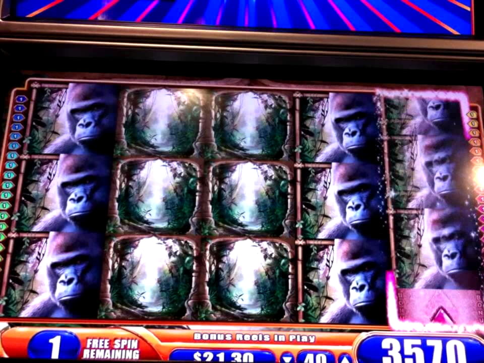 €4305 No Deposit at Wild Slots Casino