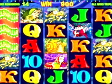 €980 Daily freeroll slot tournament at BGO Casino