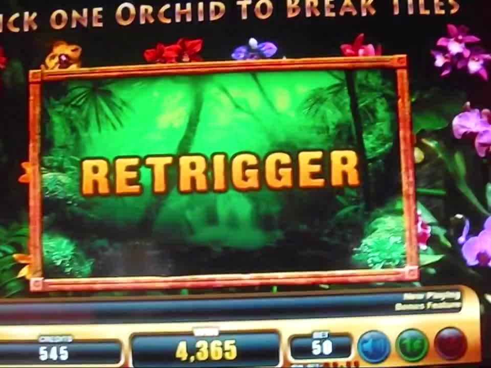 £Holland Online Casino tournaments freeroll at Leo Dubai Casino