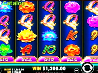 Eur 4620 NO DEPOSIT BONUS CODE at Genesis Casino