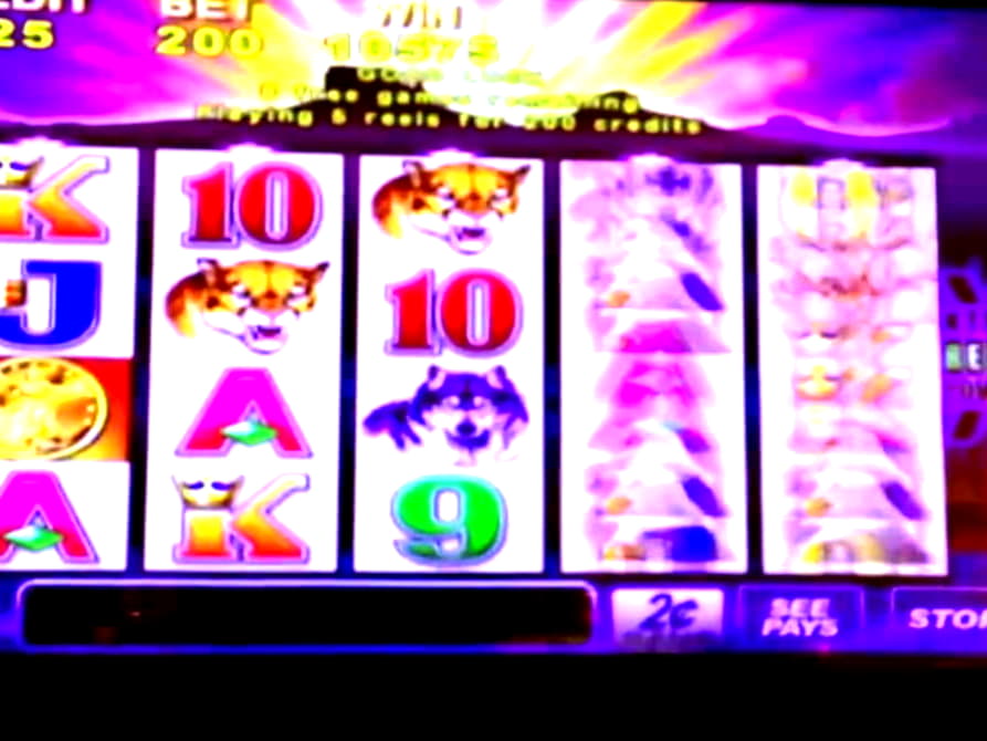 EUR 745 Casino tournaments freeroll at Holland Online Casino