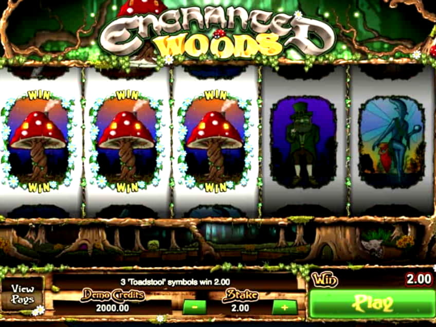 €4450 NO DEPOSIT at Leo Dubai Casino