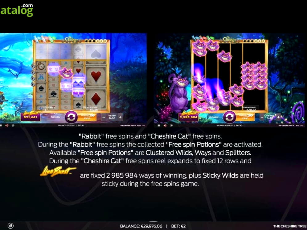 330% Deposit match bonus at Nordi Casino