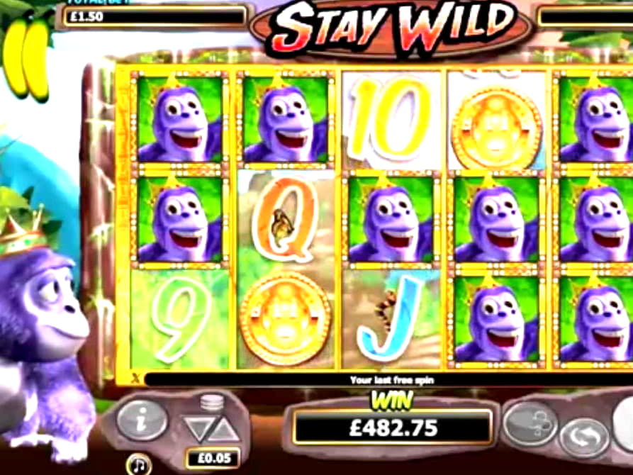105 free spins no deposit casino at Frank and Fred Casino