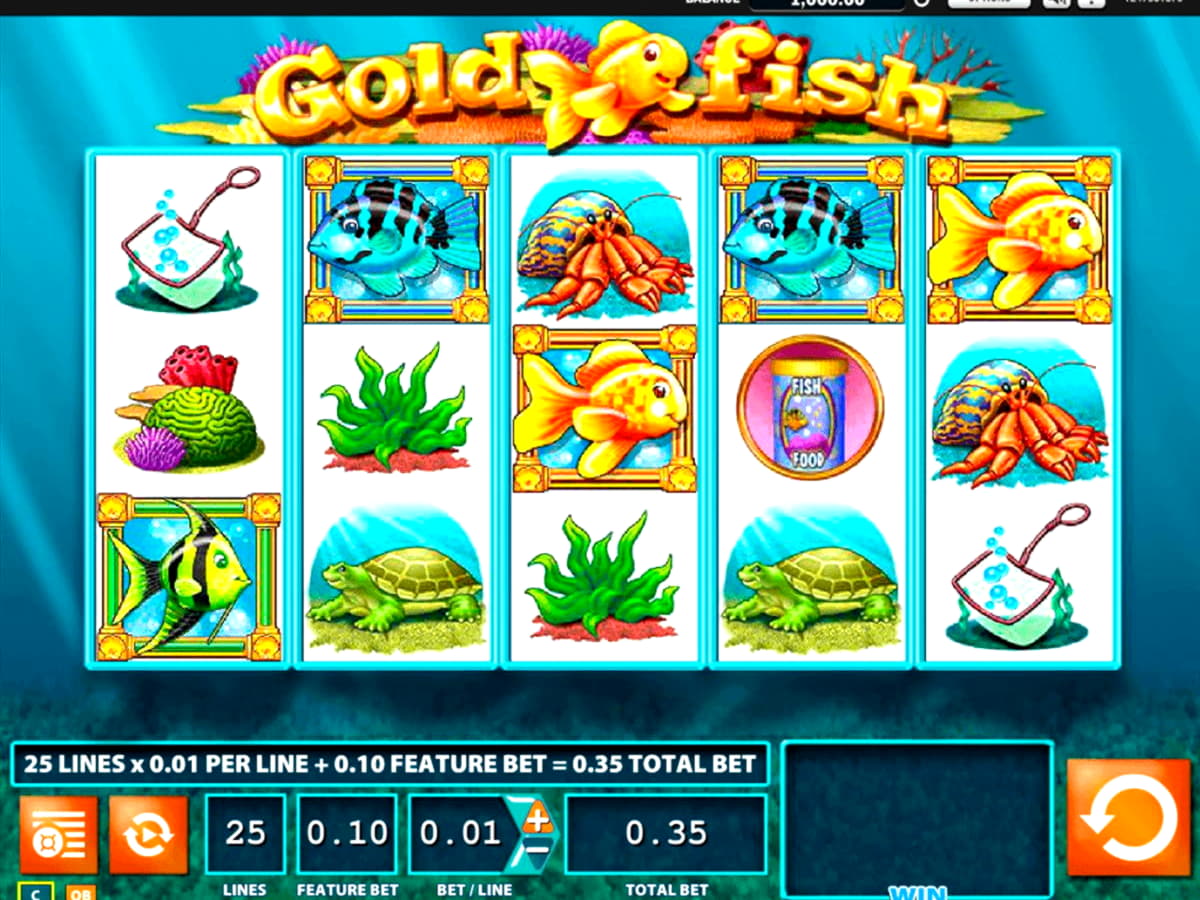 £675 Casino tournaments freeroll at Genesis Casino