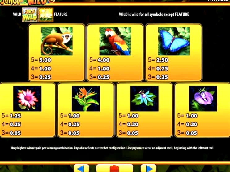 490% Welcome Bonus at Rizk Casino