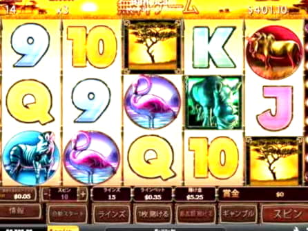 160 free casino spins at Rizk Casino