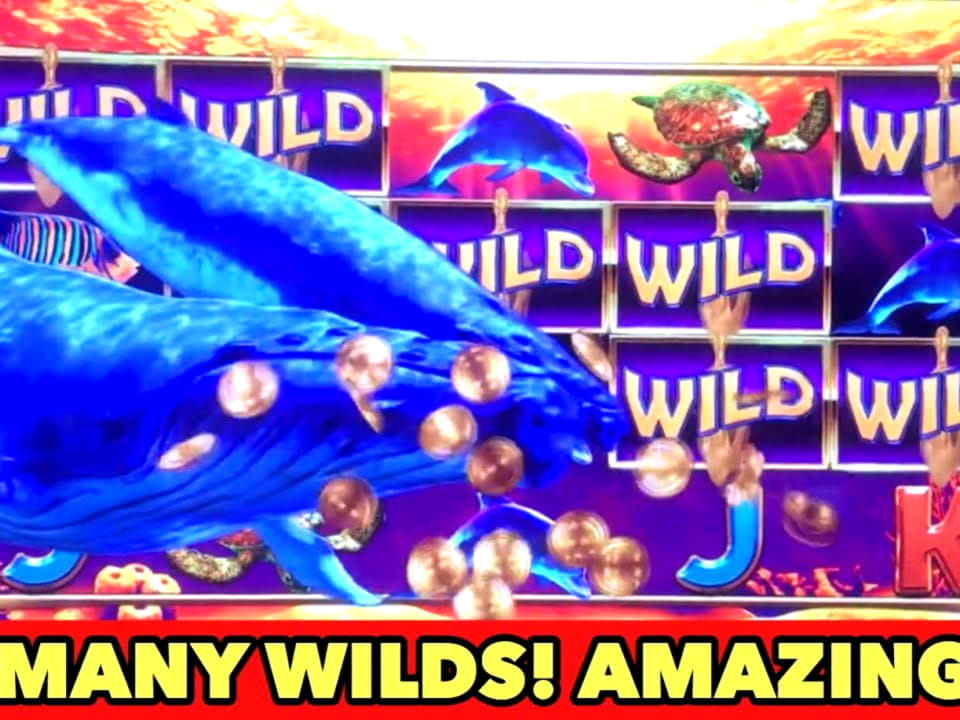 €3510 No Deposit Bonus at Video Slots Casino