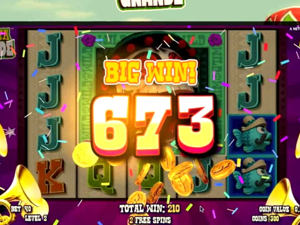 240 free spins no deposit casino at Wild Slots Casino