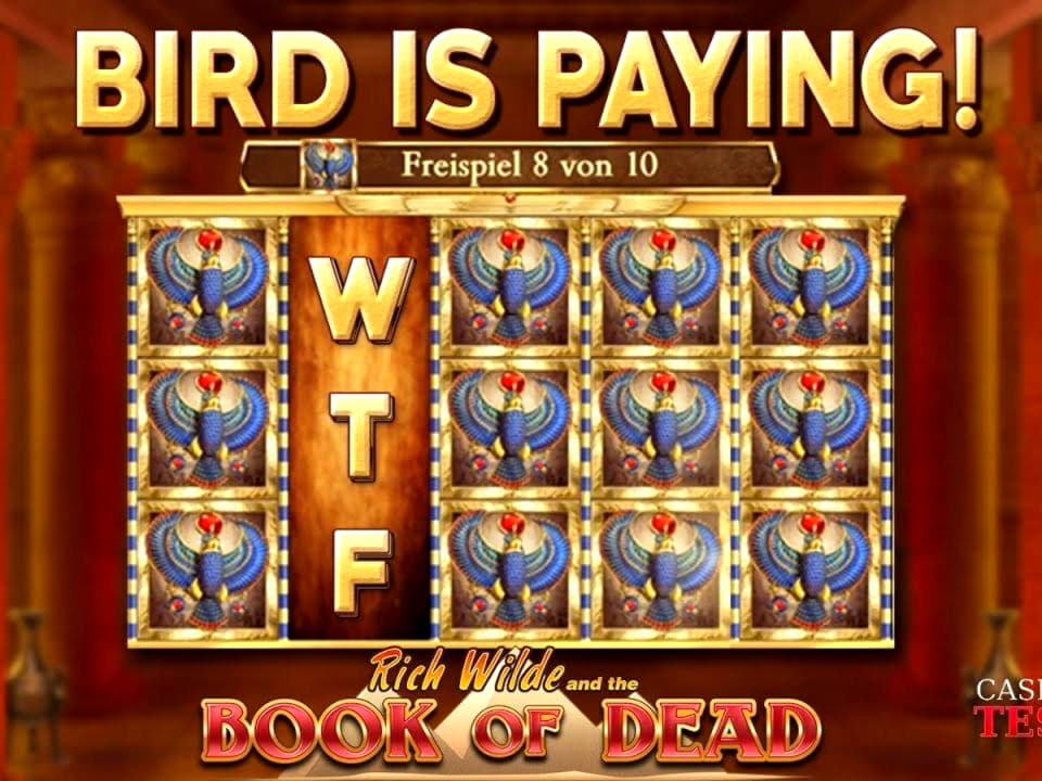 €430 FREE Chip Casino at Next Casino