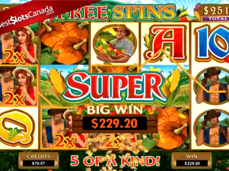 €650 Free chip casino at Rizk Casino