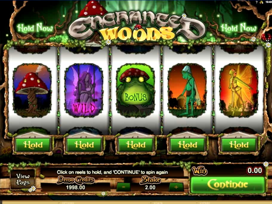 €310 Daily freeroll slot tournament at Wild Slots Casino