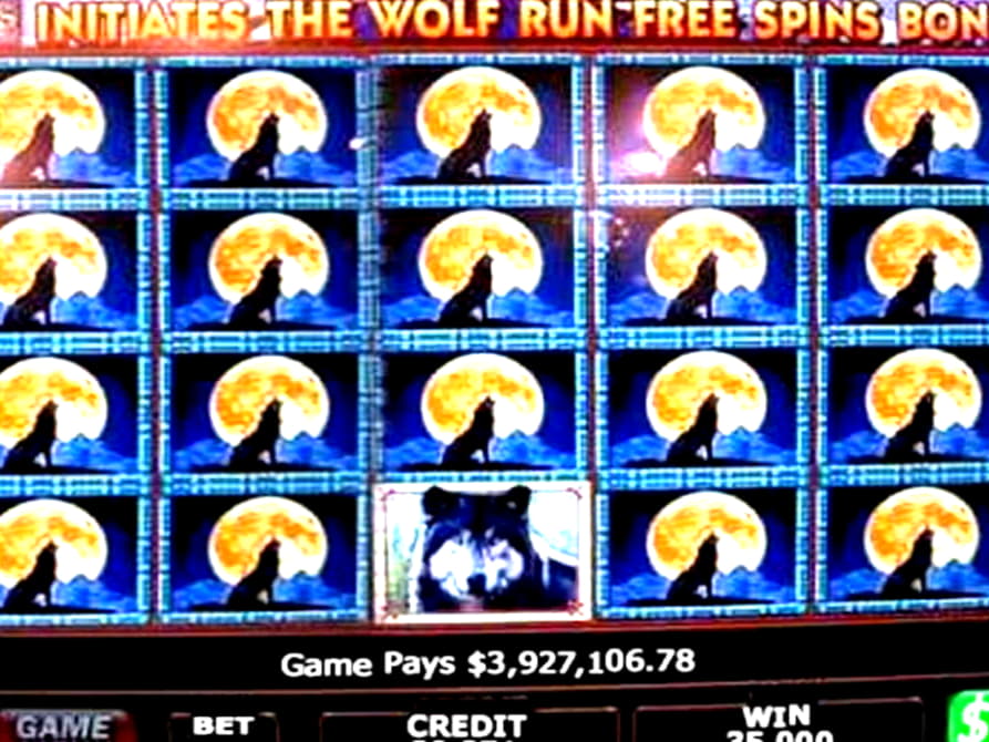 $300 Tournament at Casino Luck