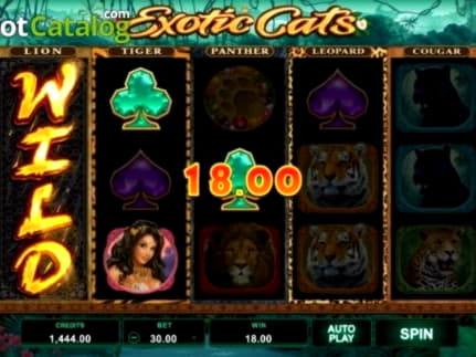 €555 Free Chip Casino at Betway Casino