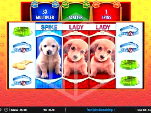﻿$2575 NO DEPOSIT BONUS CASINO at Sloty Casino
