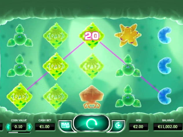 35 free spins casino at Nordi Casino