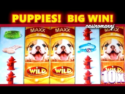 $135 casino chip at Video Slots Casino