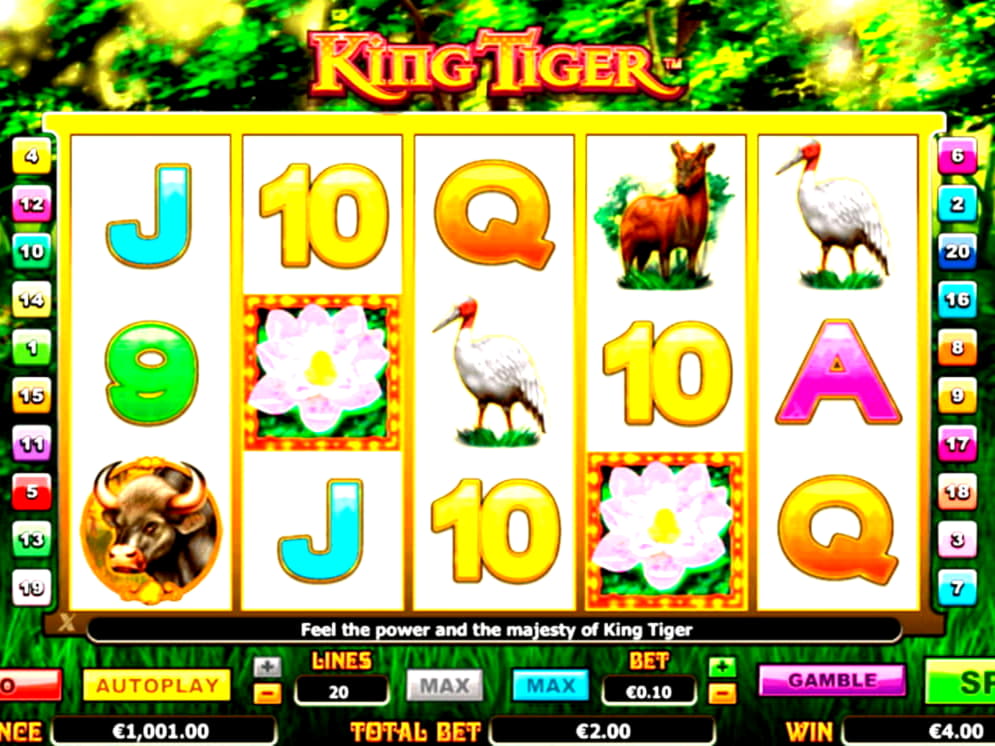 £730 Casino Tournament at Nordi Casino