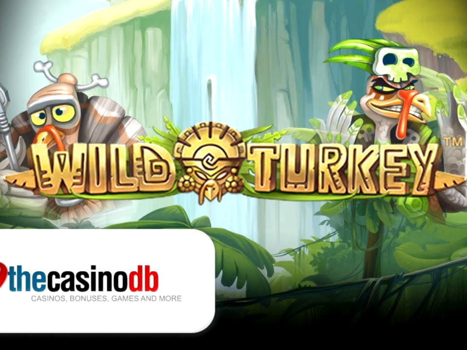 EUR 755 Casino Tournament at Red Ping Win Casino
