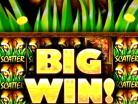 €1955 No deposit bonus at Wild Slots Casino