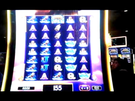 255 free spins at Next Casino